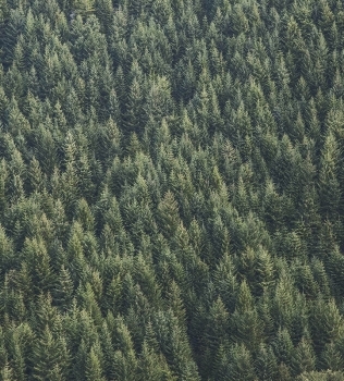 ホームページをオープンしました